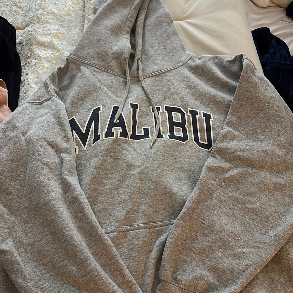 Brandy Melville Hoodie